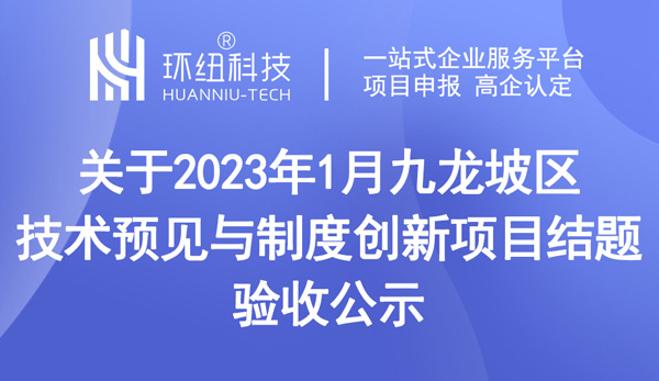 九龍坡區(qū)技術(shù)預(yù)見與制度創(chuàng)新項目結(jié)題驗收公示